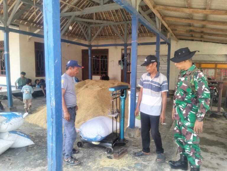 Kodim 0604/Karawang Kawal Panen dan Harga Gabah, Pastikan Petani Nikmati Hasil yang Layak   