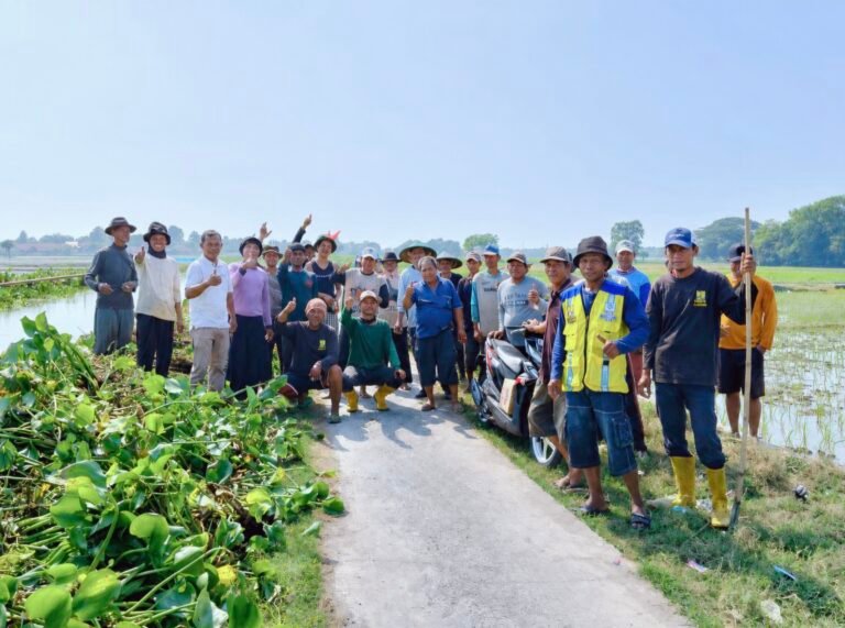 H. Karsim Turun Langsung Bersama Petani, Eceng Gondok di Irigasi Balongsari Dibersihkan